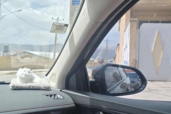 فونیکس، آریزو 6 جی تی (Z6 GT)