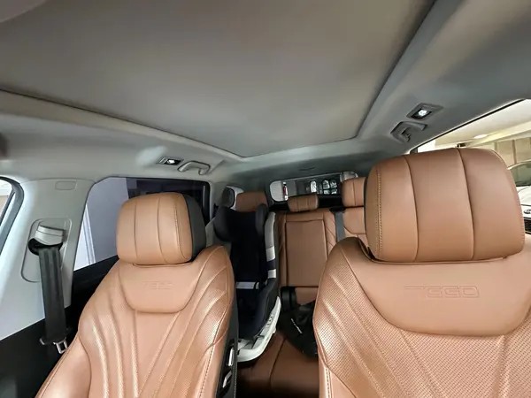 فونیکس، تیگو 8 پرو هیبرید (F8 PRO PHEV)