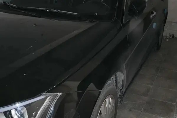 دنا، پلاس EF7P