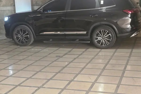 فونیکس، تیگو 8 پرو