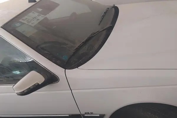 پژو، پارس