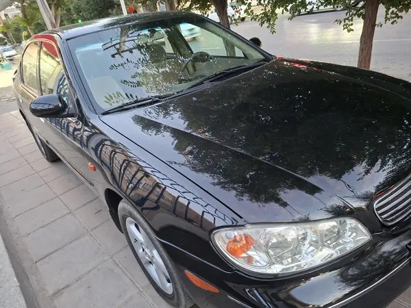 نیسان، ماکسیما
