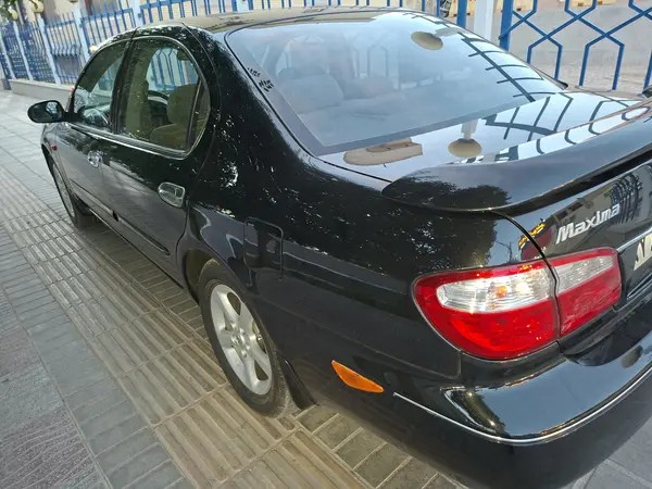 نیسان، ماکسیما
