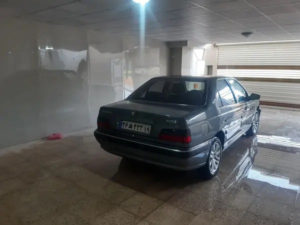 پژو، پارس