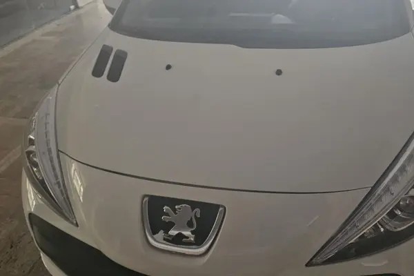 پژو، 207