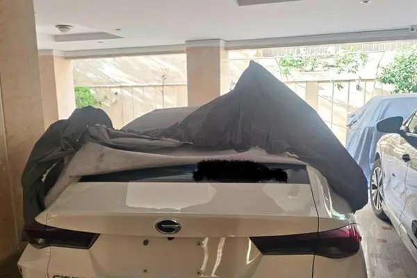 جی ای سی، امپو هیبرید