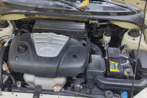 کیا، ریو (مونتاژ)