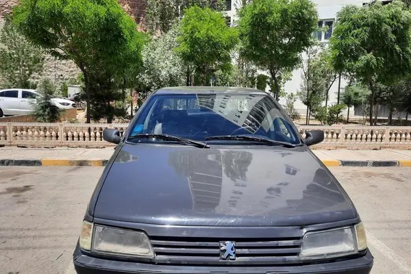 پژو، روآ