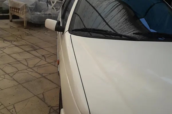 پژو، پارس