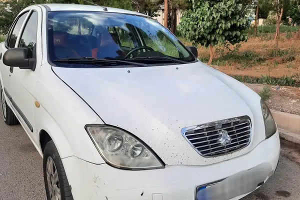 تیبا، صندوق دار