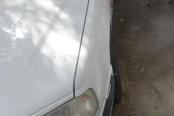 پژو، پارس