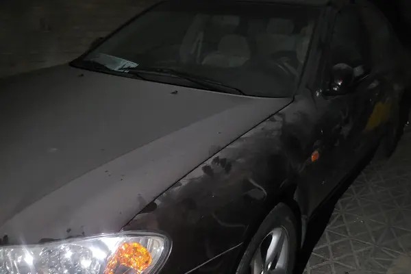 نیسان، ماکسیما