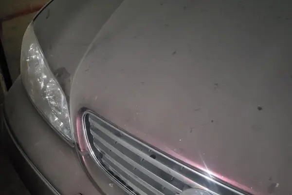 نیسان، ماکسیما