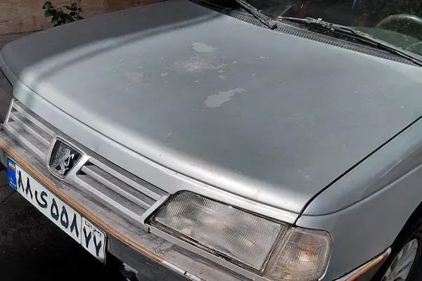 پژو، روآ