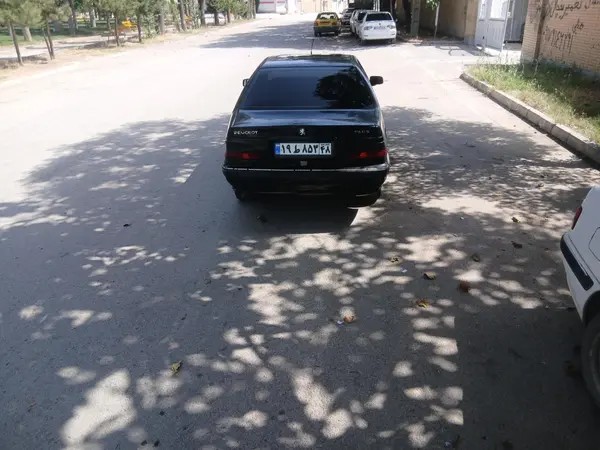 پژو، پارس
