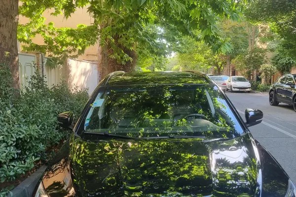 فیدلیتی، پرایم