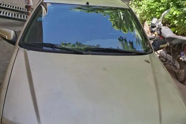 پژو، پارس