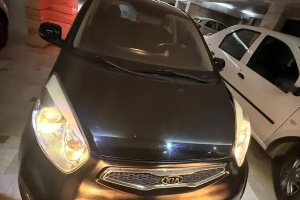 کیا، پیکانتو