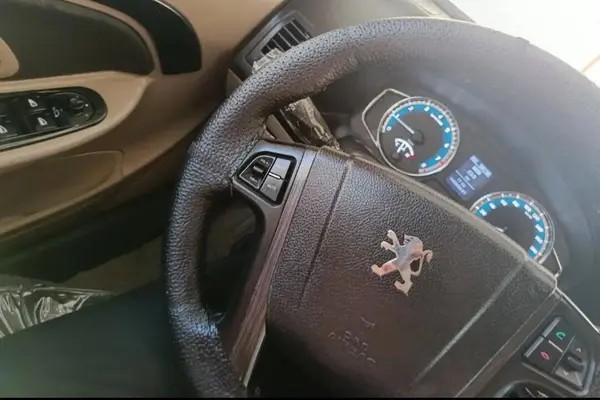 پژو، پارس