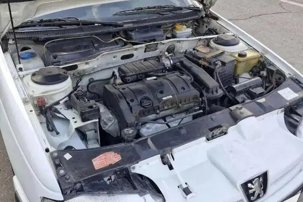 پژو، پارس