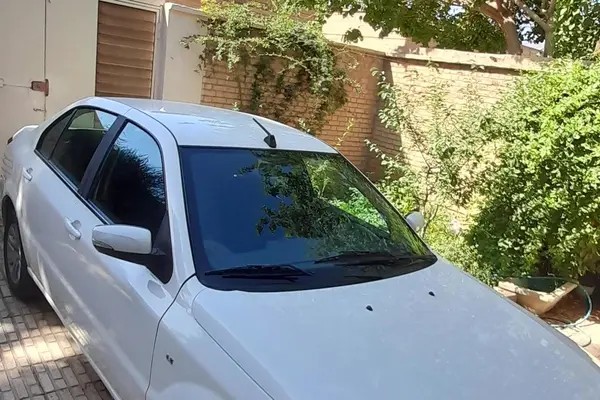 دنا، معمولی