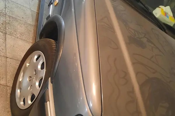 پژو، پارس