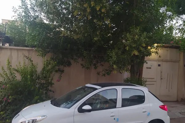پژو، 207