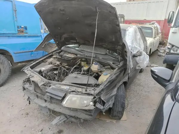 فولکس، گل