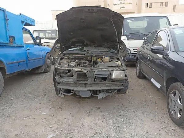 فولکس، گل