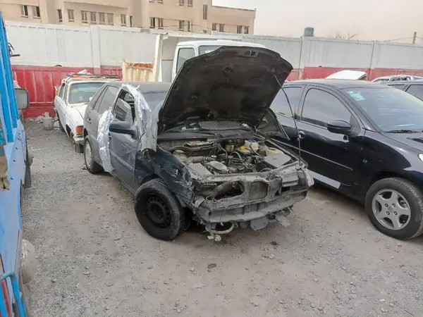 فولکس، گل