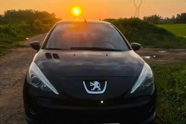 پژو، 207