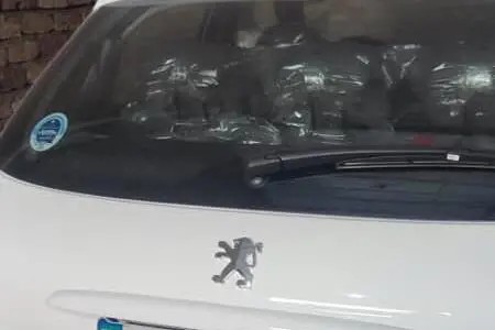 پژو، 207