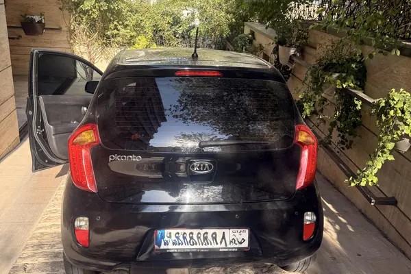 کیا، پیکانتو