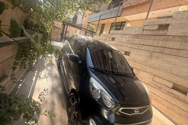کیا، پیکانتو