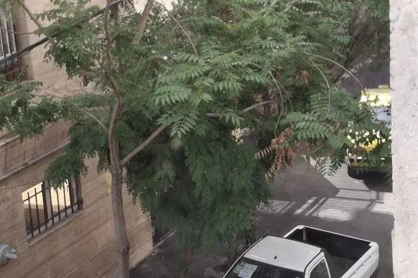 پراید، 151