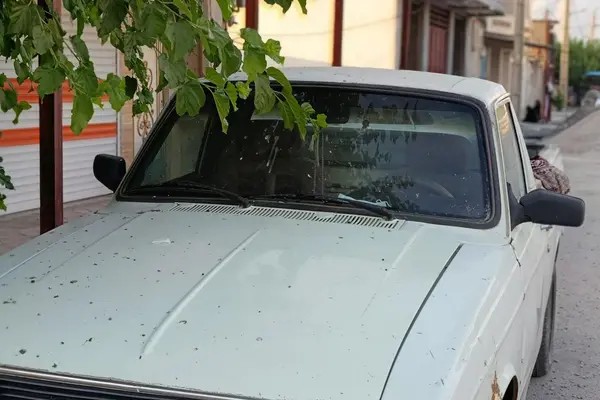 پیکان، وانت