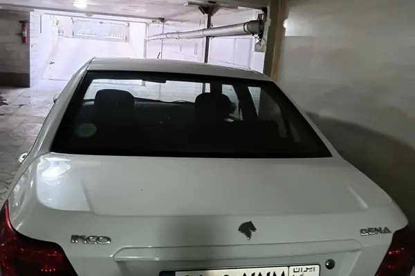 دنا، معمولی