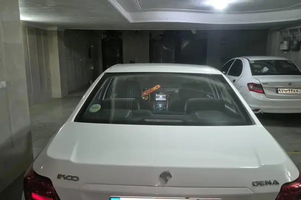 دنا، معمولی