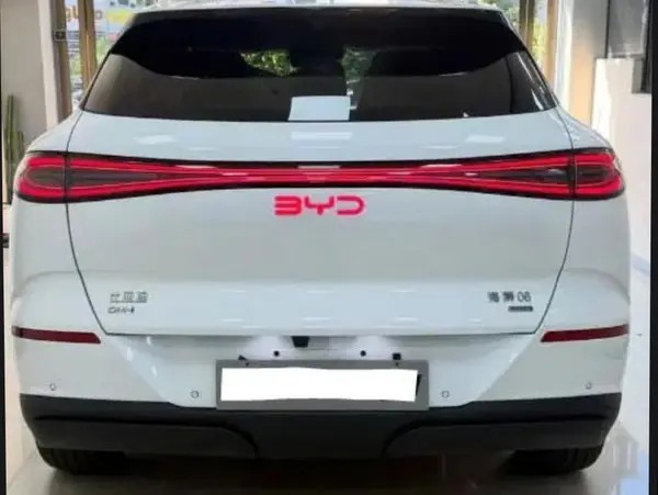 بی وای دی، سی لاین 06 DMi