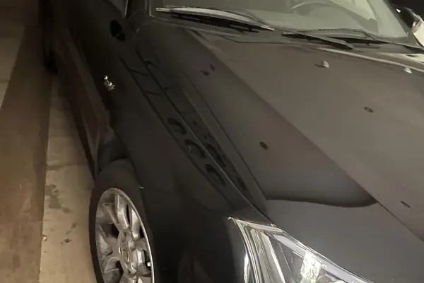 دنا، پلاس EF7