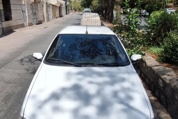 پژو، پارس