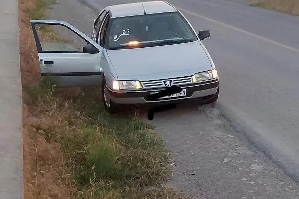 پژو، 405