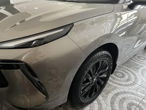 لاماری، ایما