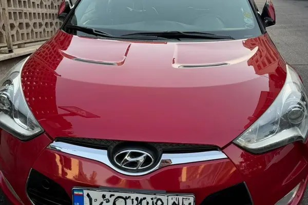 هیوندای، ولستر