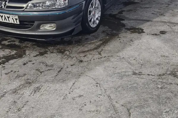 پژو، پارس