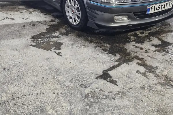 پژو، پارس