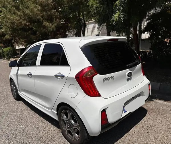 کیا، پیکانتو