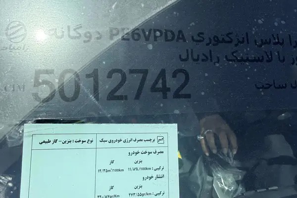 زامیاد، پادرا پلاس
