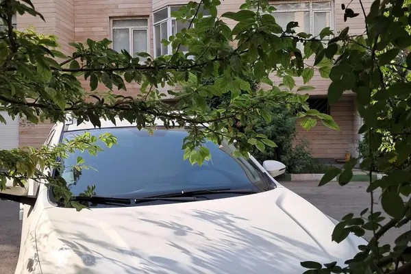 کی ام سی، X5