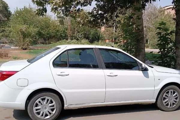 دنا، معمولی